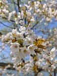 IMG_20260419_112606