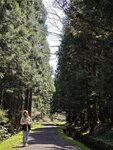 IMG_20260419_114257
