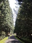 IMG_20260419_114305
