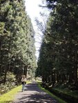 IMG_20260419_114308