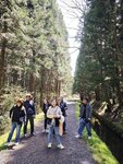 IMG_20260419_114411