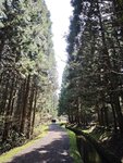 IMG_20260419_114541