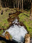 IMG_20260419_115234