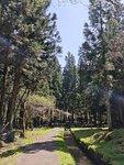 IMG_20260419_115352