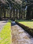 IMG_20260419_115449