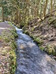 IMG_20260419_115705