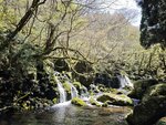 IMG_20260419_120444