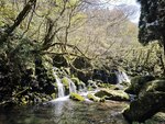 IMG_20260419_120447