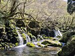 IMG_20260419_120452