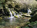 IMG_20260419_120500