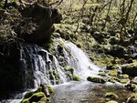IMG_20260419_120725
