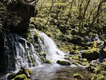 IMG_20260419_120737