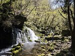 IMG_20260419_120801