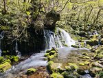 IMG_20260419_121000
