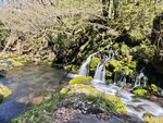 IMG_20260419_121021