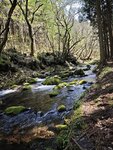 IMG_20260419_121903