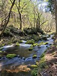 IMG_20260419_121911