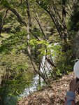 IMG_20260419_124641