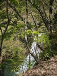 IMG_20260419_124643