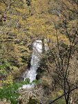 IMG_20260419_125249