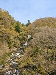 IMG_20260419_125341