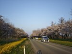 IMG_20260419_173118
