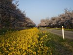 IMG_20260419_173135