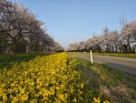 IMG_20260419_173141