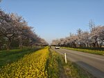 IMG_20260419_173145