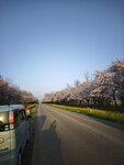 IMG_20260419_173355