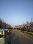 IMG_20260419_173400