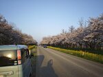 IMG_20260419_173404