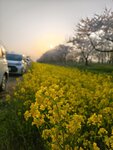 IMG_20260419_173430