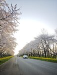 IMG_20260419_174752