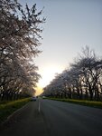 IMG_20260419_174824