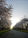 IMG_20260419_174844