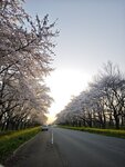 IMG_20260419_174907