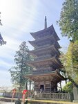 IMG_3885