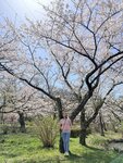 IMG_3921