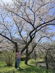 IMG_3922