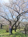 IMG_3923