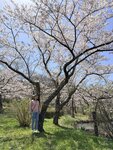 IMG_3924