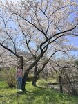 IMG_3925