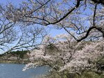 IMG_3934