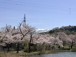 IMG_3937
