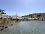 IMG_3938