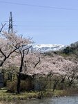 IMG_3939