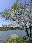IMG_3941