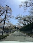 IMG_3968