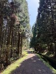IMG_3972